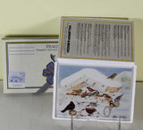 Collectors Porcelain Post Card Bird Feading, Designed by Karin Blumen