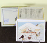 Collectors Porcelain Post Card Bird Feading, Designed by Karin Blumen