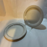 Rosenthal 18  European Dinner Plates- Lanzette Platinum