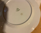 A Set of 50 Pieces Exquisite Porcelain With Flowering Branch by Rosenthal
