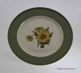 Collectors set of 14  pieces European Dinner, Dessert & Salad Plates, Pastel Green Band with Sun