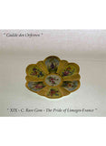 Collectors Tea Cup & Saucer of Celestial Beauty