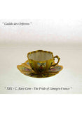 Collectors Tea Cup & Saucer of Celestial Beauty