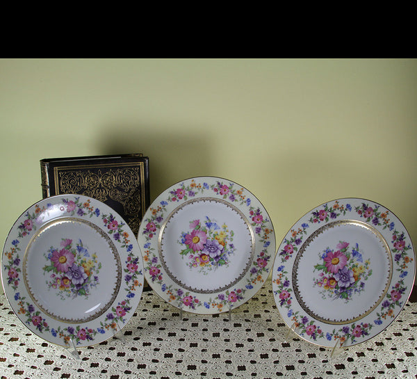 Set of 3 Cheerful Dinner Plates, Gold Rim & Rich Floral Design