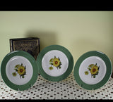 Collectors set of 3 European Dinner Plates, Pastel Green Band with Sun Flower