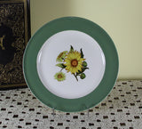 Collectors European Dinner Plate, Pastel Green Band with Sun Flower