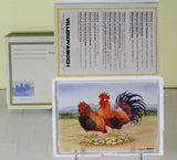 Collectors Porcelain Post Card, Cock-a-Doodle-doo