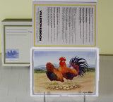 Collectors Porcelain Post Card, Cock-a-Doodle-doo