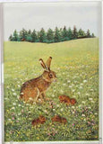 Collectors Porcelain Post Card, Peter Rabbit