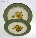 Collectors set of 3 European Dinner Plates, Pastel Green Band with Sun Flower