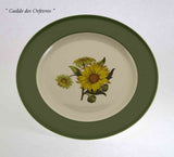 Collectors European Dinner Plate, Pastel Green Band with Sun Flower